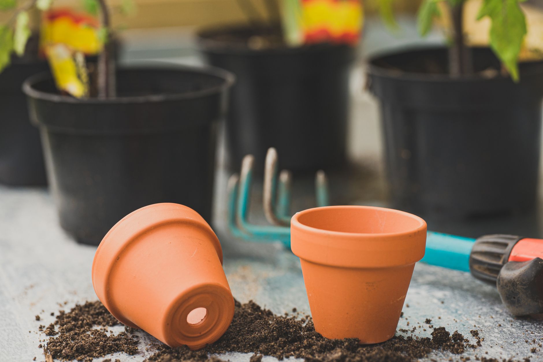 Pots and planters